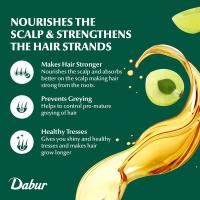 Dabur Amla PACK Hair Oil 100 ml - details 1