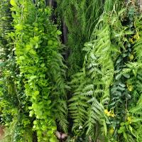 1PC Planta Artificial Colgante De Hierba Verde Falsa Valla De Plástico Para Decoración De Jardín Y Restaurante Arquitectura Suave - details 7