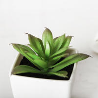 1PC Mini Suculentas Artificiales En Maceta Para Decoración De Escritorio Y Estante De Libros Oficina Planta De Silicona Para Exposición - details 3