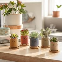 7cm lindo animal planta macetas, pequeño animal plantadores con platillo conjunto de 6, pequeñas macetas de cerámica para suculentas cactus, (sin plantas) - details 2