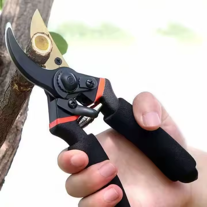 Tijeras de podar para horticultura, podadora de corte de arbustos, tijeras de jardín, herramienta para cortar ramas, tijeras de podar para huerto - 1