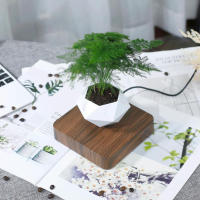Maceta Flotante Magnética Levitación Para Plantas Sin Tierra Maceta De Rotación Para Decoración Del Hogar Con Diseño De Bonsái - details 7