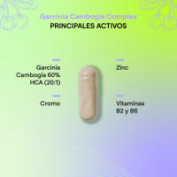 Garcinia Cambogia 2000mg -  60% HCA - Cromo Zinc B2 B6 -  Para Mujer y Hombre - 90 Cápsulas Garcinia Complex Nutralie - details 2