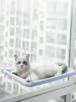 Hamaca colgante para cama de gato, soporte cómodo para asiento de ventana soleada, marco de escalada para gatito, accesorios para mascotas, 20Kg - details 0