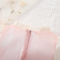 Vestido Lolita Para Bebé Niña 0-3 Años Con Doble Encaje Y Lazo Falso Dos Piezas Estilo Princesa Dulce Para Fiesta De Cumpleaños Primavera Otoño Material Algodón Y Poliéster Silueta A-line Manga Completa Longitud De Rodilla - details 17