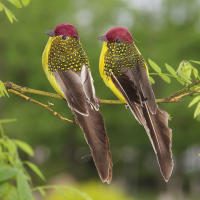 1PC Decoración De Jardín De Pájaro Artificial Pluma De Pollo Espuma Producto Falso De Pájaro Para Adornos Florales - details 4