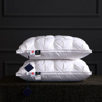 Almohada De Pluma De Ganso 95% Para Hotel 5 Estrellas Y Hogar Cubierta De Algodón Puro 3D Pan De Dormir Para Adultos 48*74cm - details 2