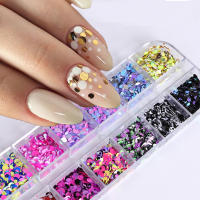 Polvo De Uñas Plateado Y Plateado Con Brillo 3D De 12 Celdas Decoración De Uñas Brillante Con Brillo Holográfico Accesorios Para Manicura - details 1