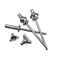 50pcs Tornillos De Aluminio Con Gran Rosca Cabeza Ciega Pull Plata Decoración Tornillo De Púa Fijaciones De Hardware 3.2mm 4.0mm 4.8mm - details 12