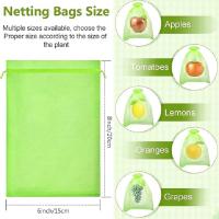 Bolsas De Red De Protección Para Frutas 100pcs Control De Plagas Y Pájaros Para Verduras Y Uvas Herramienta De Jardinería Material De Nylon Blanco Y Verde - details 1