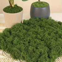 Falso Moss Verde Para Manualidades DIY Hierba Artificial Decoración De Jardín Y Habitaciones Material Sintético Estilo De Pasto - details 0