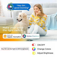 Tira De Luz LED COB Flexible 12V 1m 2m 3m 4m 5m En Blanco Cálido 3000K-6500K Compatible Con Siri Para Iluminación De Habitaciones Y Armarios - details 0