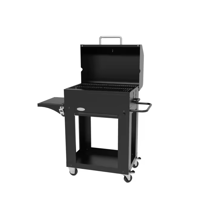 Barbacoa Miranda para Carbón - 1