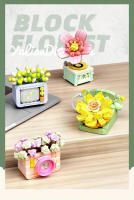 Bloques De Construcción De Cámara Con Flores Eternas Juguetes DIY Creativos Para Niños Regalos De Cumpleaños Modelos De Suculentas En Macetas Adecuado Para Adolescentes Y Adultos - details 1