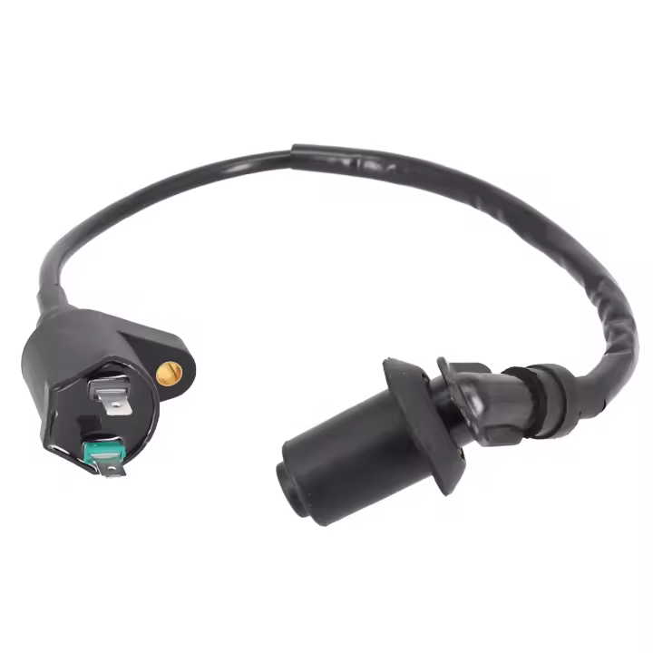 Bobina De Encendido Para Motocicleta 12V Adecuado Para Motor GY6 TRX300 50CC 125CC 150CC Bicicleta De Tierra Scooter Moped Alta Performance - 1