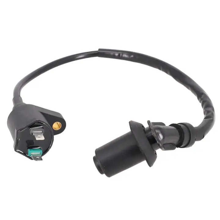 Bobina De Encendido Para Motocicleta 12V Adecuado Para Motor GY6 TRX300 50CC 125CC 150CC Bicicleta De Tierra Scooter Moped Alta Performance - 1