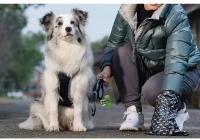 Dispensador De Bolsas De Basura Para Mascotas Nuevas 1/10PCS Capullos De Pala Para Excrementos De Perro Y Gato Bolsas De Limpieza De Feces De Mascotas - details 8