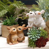Adorno De Pareja De Conejos Besar En Jardín Y Accesorios Del Paseo 1 Pieza De Resina Tema Animal Para Decoración Del Jardín - details 4