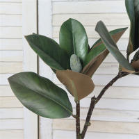 Gran Planta Artificial De 82cm Ficus Falsa Palma Hojas De Bricioleta Falsa Planta Tropical Para Jardín Y Hogar Material Plástico - details 3