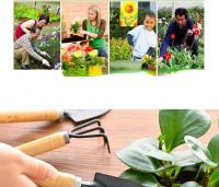 Juego De 3 Herramientas Para Jardín De Plantas En Maceta Incluye Tijeras Y Pinzas Para Semillas Y Enraizamiento Floricultura Y Jardinaje - details 8
