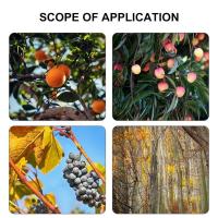 Scorpio 1PC Alcancía De Extensión Para Podar Árboles Herramienta De Corta Ramas Y Podar Jardín Con Cordón Lopera Metálica Extensible Para Frutales - details 8