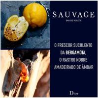 Sauvage - Eau De Toilette Spray - 100 ml - details 1