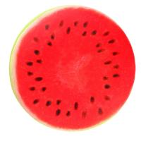 Cojines Redondos Para Sillas Cómodos Almohadillas De Asiento Estilo Moderno Con Patrón De Jardín De Frutas Divertidas Para Comedor Al Aire Libre - details 6