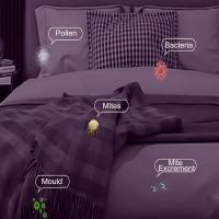 Aspiradora antiácaros, tasa de esterilización de 14 kPa con lámparas LED UV, aspiradora para colchones, limpiador de colchones con vibración de alta frecuencia de al menos 8,000 vibraciones por minuto 45W - details 0