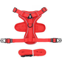 Juego De Correa Y Enjambre Para Gato Prueba De Fuga Ajustable Y Respirable Para Pequeños Y Medianos Perros Y Gatos Con Cuerda De Pecho Para Gatos Chicos - details 4