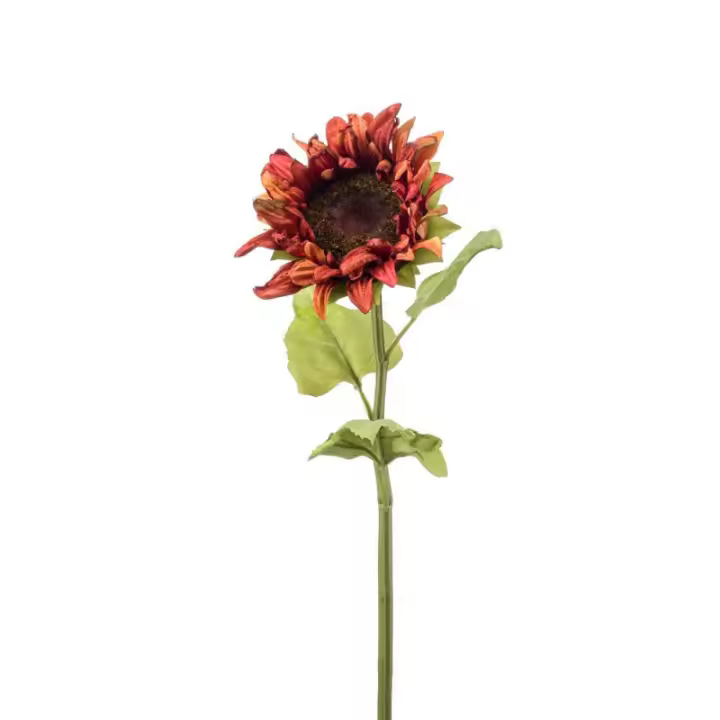 Planta Artificial Girasol Seco Marrón 60cm - Flores Artificiales - 1