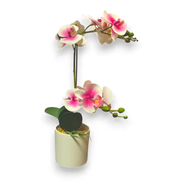 Maceta Orquídeas Artificiales - 43cm - Karawan. - 1