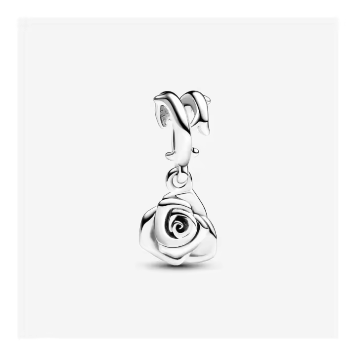 793213C00 - Charm Pandora de plata 793213C00 PANDORA Raíz Joyas de Plata Joyas Pandora inicio Charm Pandora Colgantes de Plata Mujer Pandora Original - 1