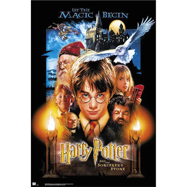 Póster del Grupo Erik Harry Potter 1 - 1