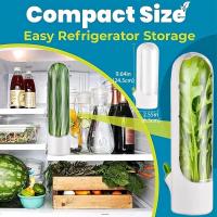Caja De Almacenamiento Para Hierbas Frescas Como Coriandros Peras Espárragos Menta Mantener Verduras Frescas Durante 2-3 Semanas Plástico Resistente - details 4