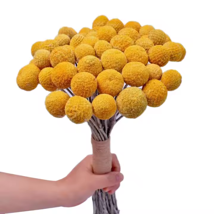 Ramo de flores secas naturales, ramo de bolas amarillas, ramo de Plantas secas reales recién cosechadas, decoración para manualidades del hogar - 1