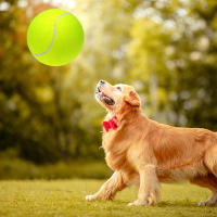 Bolas De Tenis Gigantes De 9.5 Pulgadas Inflables Juguete Para Perros Y Gatos Divertido Para Niños Y Adultos - details 14
