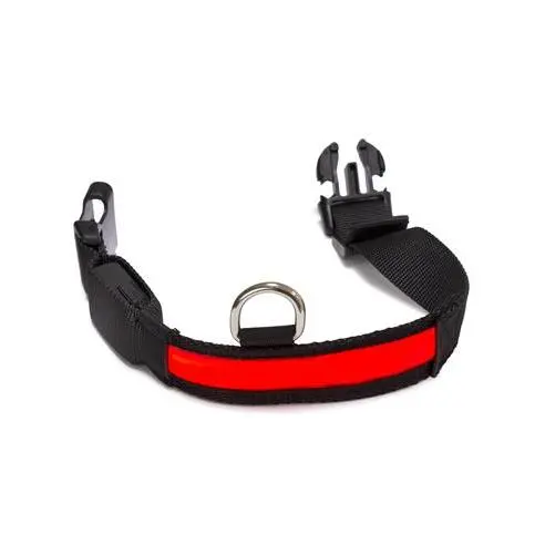 Collar para Perros  Luminoso LED Rojo- Talla L 48-60cm/2,5cm  Arquivet - 1