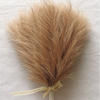 5pcs De Pampas Artificial 42cm Simulación De Pluma Para Bodas Decoración Bohemia Del Hogar Uso En Aniversarios Baños De Natación Cumpleaños Decoración De Casa - details 14