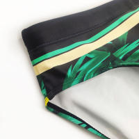 Bragas De Natación Para Hombre Briefs Estampados De Verano Deporte Acuático Pantalones De Playa Traje De Baño Sexy Surf Wear - details 12