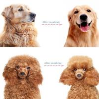 Cepillo Para Peluquería De Mascotas Para Perros Y Gatos Eliminador De Pelusa Desenredante Adecuado Para Cabello Largo Y Enredado Herramienta De Grooming - details 6