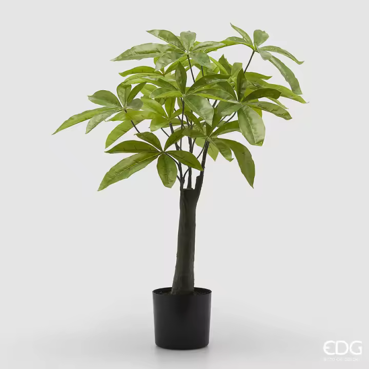 EDG Enzo De Gasperi Pachira Jarrón Artificial H 60 Cm Verde - 1
