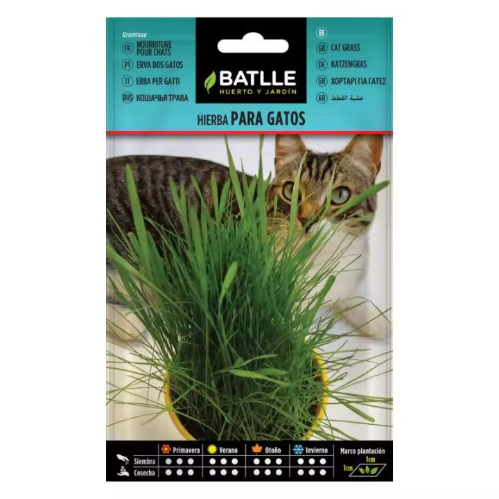 Batlle - HIERBA PARA GATO  SOBRE - 1