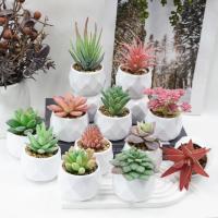 Plantas De Suculentas Artificiales En Macetas Decorativas Falsas De Espinosa Con Macetas Para Decoración Del Hogar Y Jardín - details 0
