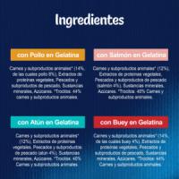 FELIX - Fantastic Gelatina (24x85 gr) - Comida Húmeda Selecciones Favoritas (Pollo, Salmón, Atún y Buey) (2 Cajas de 12x85 gr) - details 1