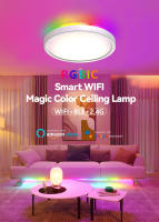 Lámpara de Techo LED Inteligente de 30W Control Remoto, Control de Voz, Luces Google Home - details 0