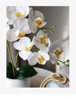Orquídea Falsa De Seda Mariposa Para Decoración De Hogar Jardín Accesorios De Vaso Decoración De Boda Flor Artificial Estilo Bouquet - details 2