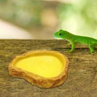 Bol De Agua Para Reptiles Resina Terrario Tazón De Alimento Para Sapo Tortuga Chamaeleon Dragón Barbudo Decoración De Tanque - details 6