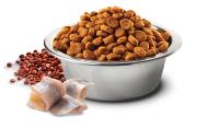 FARMINA N&D CAT QUINOA SKIN COAT ARENQUE 5KG - details 0