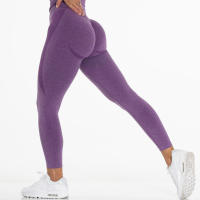 Pantalones De Yoga Para Mujer 2022 Cintura Alta Sin Costuras Tejidos En Nudo Terciopelo Glúteos Talla Realizada Pantalones De Gimnasio - details 16