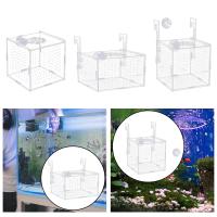 Caja De Aislamiento Para Acuario Multifuncional Portador De Crías De Peces Guppys Y Cangrejos Adecuado Para Peces Agresivos Nuevo Suministro De Acuario - details 5